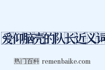 爱仰脑壳的队长近义词是什么意思的图片